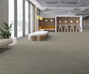 TARKETT- ALIGHT EDIT - WAVEFORM 18 X 36 CARPET TILE 22401