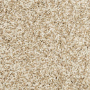 MOHAWK PET PREMIER RAISE THE WOOF I - COLOR - COCONUT