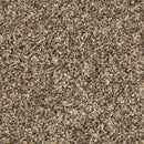 MOHAWK PET PREMIER RAISE THE WOOF I - COLOR - CRACKED WHEAT