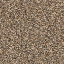 MOHAWK EVERSTRAND - 3K42 REVIVE - COLOR - FLANNEL