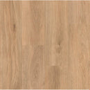 PARAMOUNT CHATOOSA HAVANA SAND HFC02-D3970 LVP WITH ATTACHED PAD