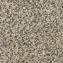 MOHAWK PET PREMIER RAISE THE WOOF I - COLOR - HIGHWAY