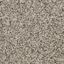MOHAWK PET PREMIER RAISE THE WOOF I - COLOR - PEBBLE TRAIL