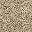 MOHAWK PET PREMIER RAISE THE WOOF I - COLOR - BISQUE