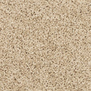 MOHAWK PET PREMIER RAISE THE WOOF I - COLOR - SANDY BEACH