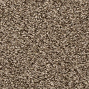 MOHAWK EVERSTRAND - 3K42 REVIVE - COLOR - SHIMMER ASH